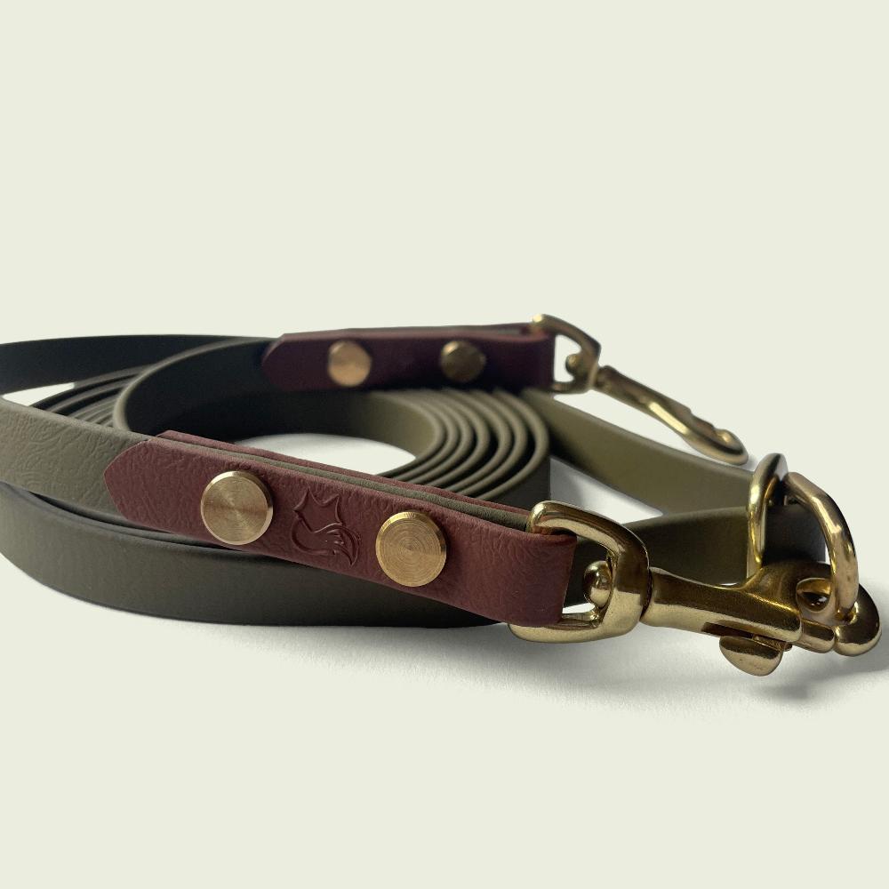 Olive Green 1/2 inch Jindo Hands Free Leash with medium brown accent biothane and gold hardware