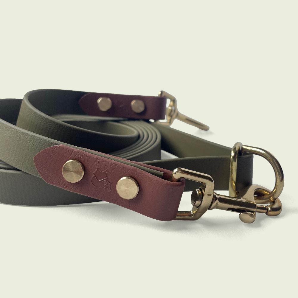 Olive Green 3/4 inch Jindo Hands Free Leash with medium brown accent biothane and gold hardware