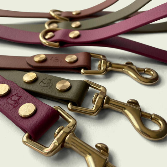 Close-up of leather dog leashes in various coluors (olive green, medium brown, burgundy wine) with brass hardware 