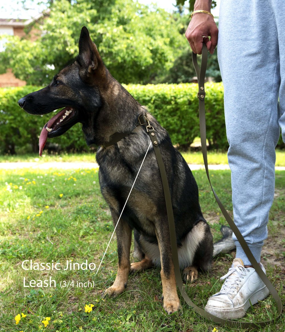 A German Shepherd-type dog sits on grass, with a 3/4-inch-wide olive green Classic Jindo leash, held by a person in grey sweatpants and white sneakers.