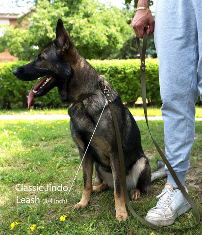 A German Shepherd-type dog sits on grass, with a 3/4-inch-wide olive green Classic Jindo leash, held by a person in grey sweatpants and white sneakers.