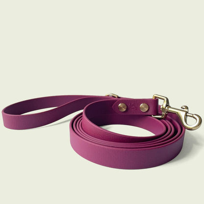 Elegant burgundy dog leash, 3/4 inch wide, with gold hardware and sturdy construction, perfect for stylish and durable walks.