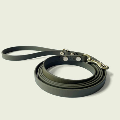 Elegant olive green dog leash, 1/2 inch wide, with gold hardware and sturdy construction, perfect for stylish and durable walks.