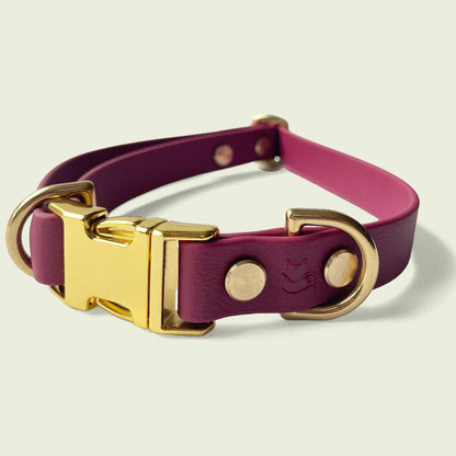 Luxurious burgundy dog collar, 3/4 inch wide, with gold hardware, featuring durable construction and stylish design, perfect for fashionable pets