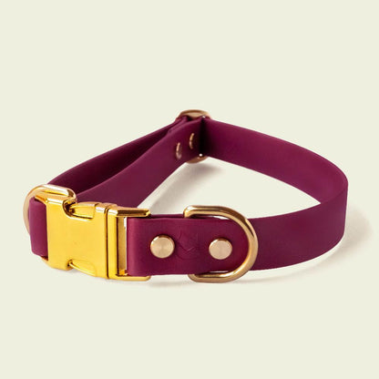 Luxurious burgundy dog collar, 1 inch wide, with gold hardware, featuring durable construction and stylish design, perfect for fashionable pets