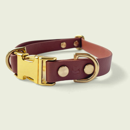 Luxurious medium brown dog collar, 3/4 inch wide, with gold hardware, featuring durable construction and stylish design, perfect for fashionable pets