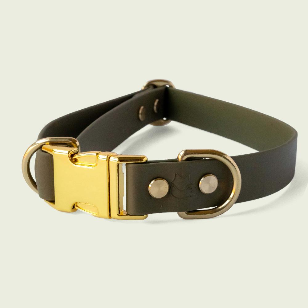 Luxurious olive green dog collar, 1 inch wide, with gold hardware, featuring durable construction and stylish design, perfect for fashionable pets