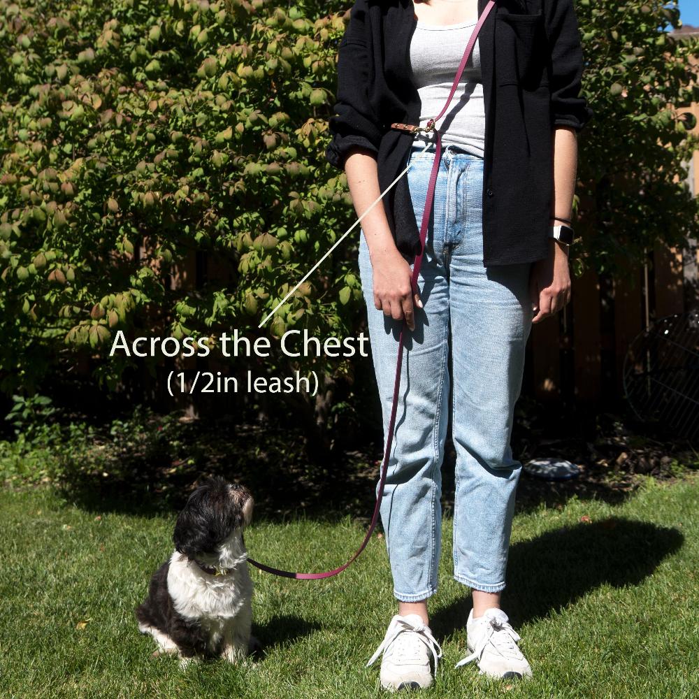 A person standing with blue jeans with 1/2 inch burgundy wine hands free jindo leash wrapped across the chest with a small dog sitting on the grass