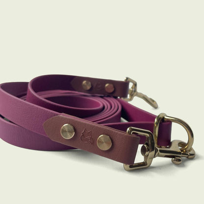 Burgundy Wine 3/4 inch Jindo Hands Free Leash with medium brown accent biothane and gold hardware